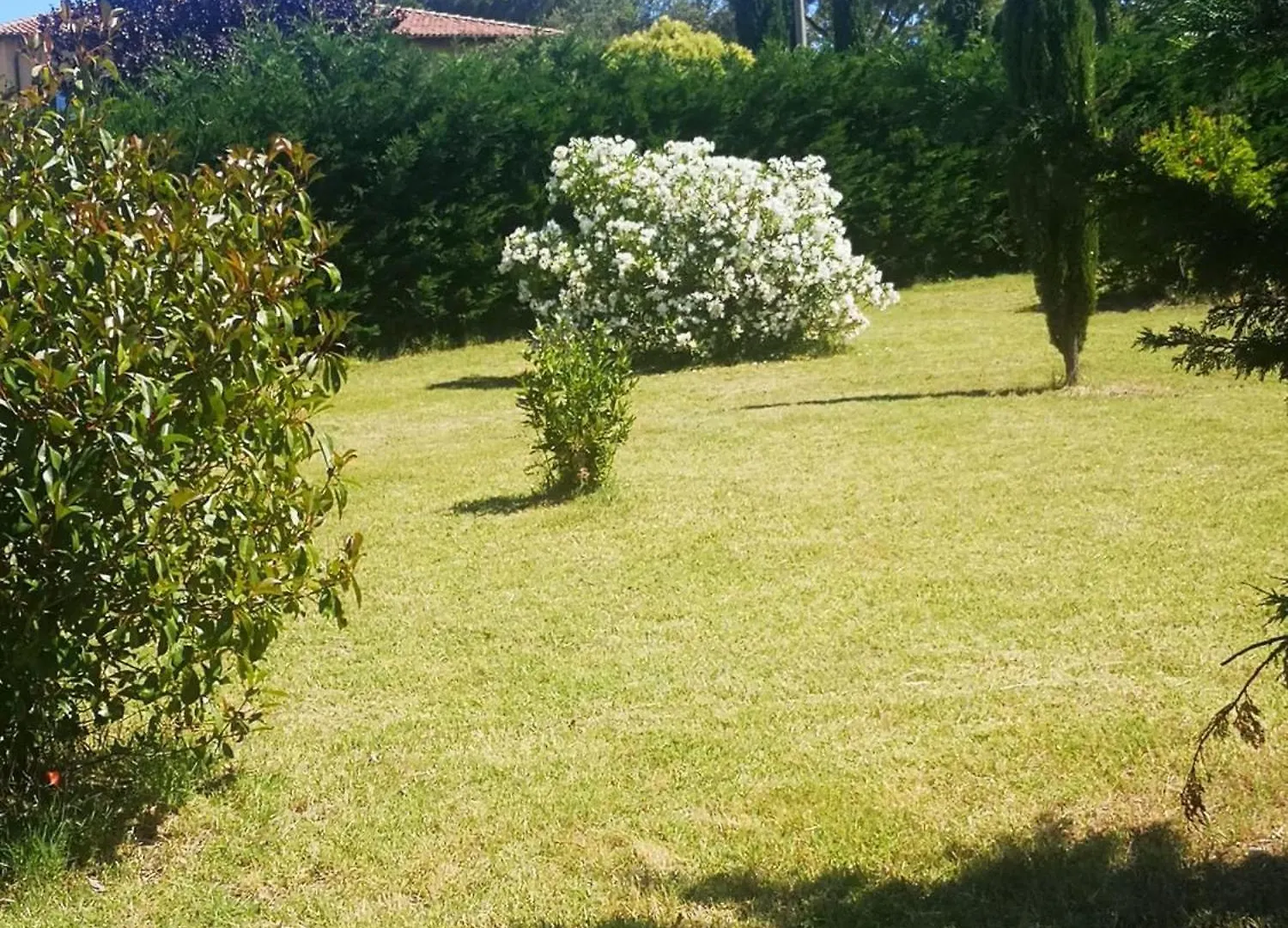 Holiday home Podere Simonetta - A10 Cecina  Italy