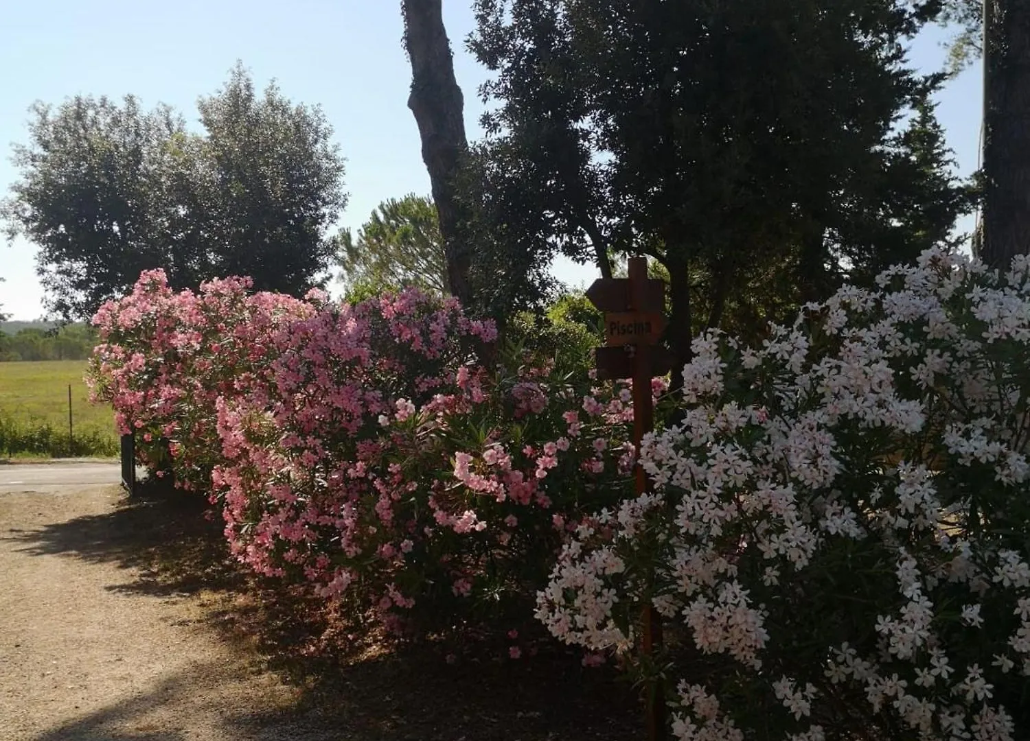 Podere Simonetta - A10 Cecina  Cecina (Livorno)